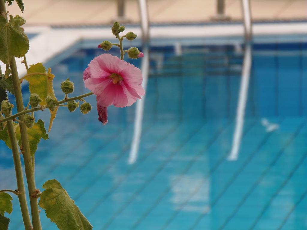 Emerald Hotel Malia Exteriér fotografie